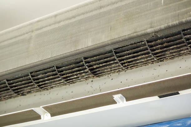 Best Commercial HVAC Duct Cleaning  in North Weeki Wachee, FL